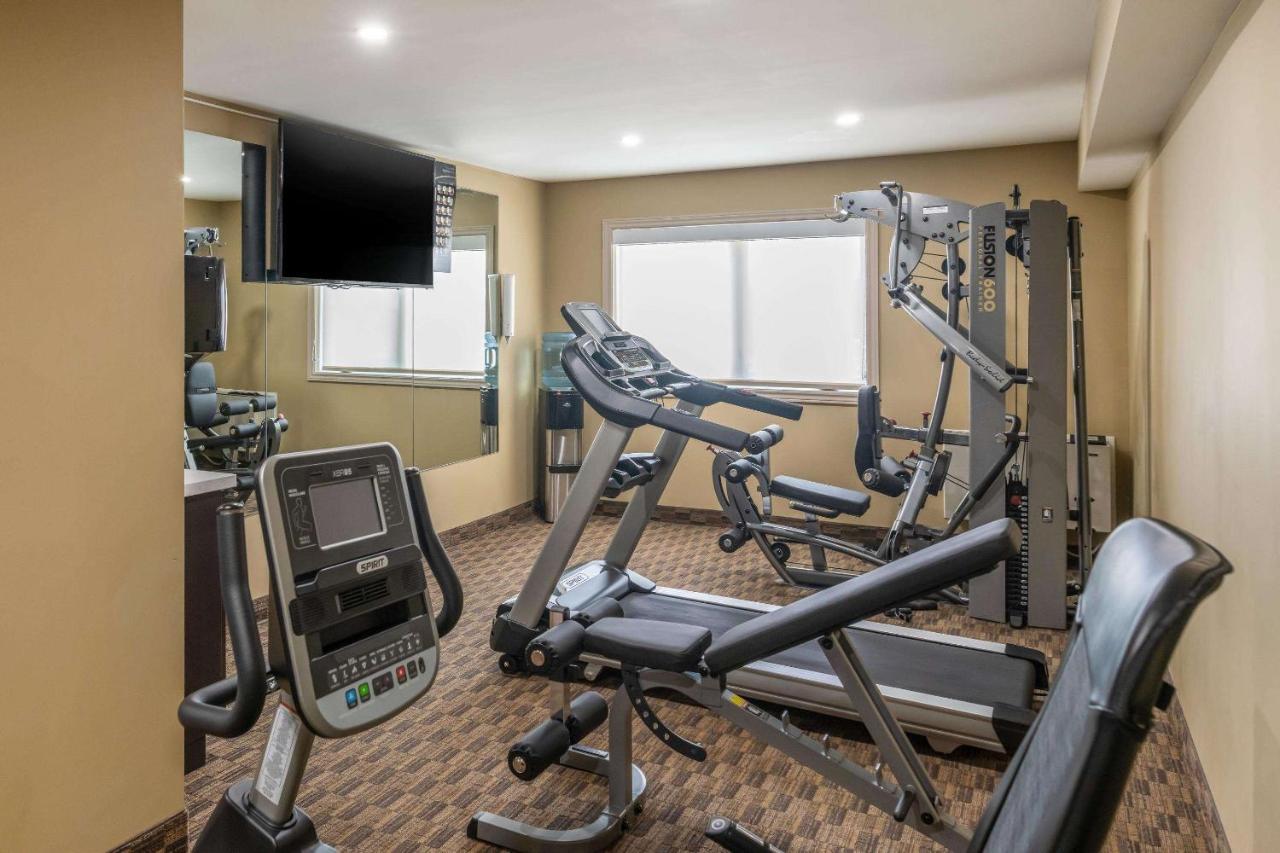 Quality Inn & Suites Батерст Экстерьер фото